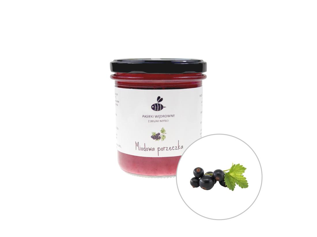 Miód z Czarną Porzeczką 430g